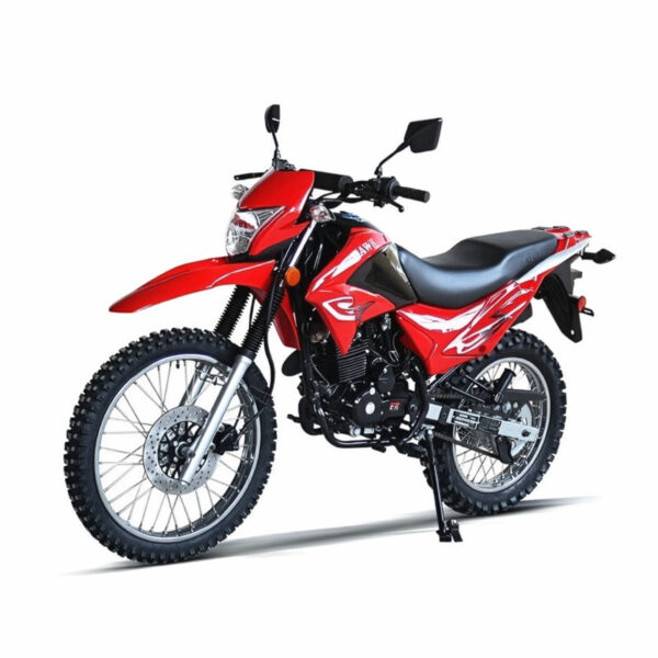 250cc Pro-Hawk Enduro Bike – 5-Speed Manual, Electric/Kick Start, Street Legal, 21"/18" Wheels