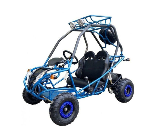 200cc GVA-21 Go-Kart – Auto w/Reverse, Remote Shutoff, Independent Rear Suspension, Spare Wheel