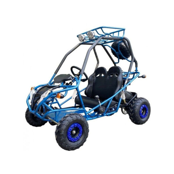 200cc GVA-21 Go-Kart – Auto w/Reverse, Remote Shutoff, Independent Rear Suspension, Spare Wheel