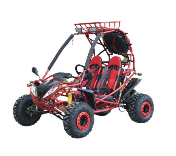 200cc GSA Go-Kart – Full Size, Auto w/Reverse, Electric & Pull Start, 2-Seater, High Power Engine
