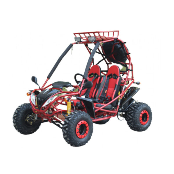 200cc GSA Go-Kart – Full Size, Auto w/Reverse, Electric & Pull Start, 2-Seater, High Power Engine
