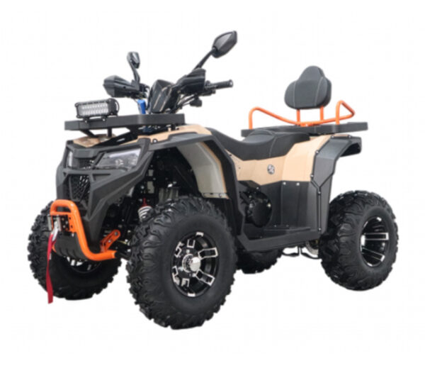 250cc DF250AVX Ultima – Automatic w/Reverse, Dual A-Arm Suspension, Hydraulic Disc Brakes